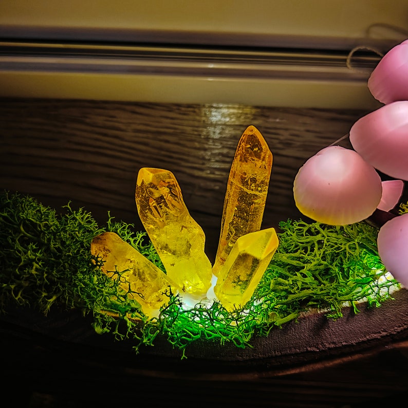 Magical Mushroom Night Light - Unique Gift for Home & Office 🎁🍄